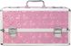 Кейс для зберігання секс-іграшок BMS Factory - Large Lokable Vibrator Case Pink