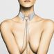 Ожерелье-воротник Bijoux Indiscrets Desir Metallique Collar - Silver