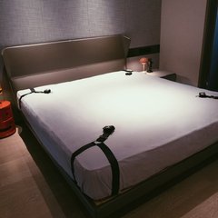 Фіксатори для ліжка Bed Adjustable Restreint Strap