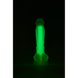 Фалоімітатор Dream Toys, що світиться RADIANT SOFT SILICONE GLOW IN THE DARK DILDO SMALL GREEN