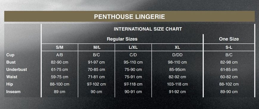 Міні-сукня з мереживним ліфом та стрінгами Penthouse - Bedtime Story Black L/XL