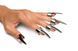 Набір кілець з кігтями Master Series Five-Piece Sensation Claw Rings - Silver